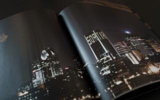 Aude Moreau, La Nuit Politique, 2015