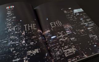 Aude Moreau, La Nuit Politique, 2015