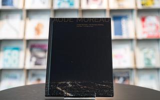 Aude Moreau, La Nuit Politique, 2015