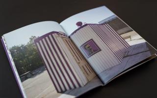 Brent Birnbaum, 2013