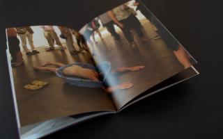 Brent Birnbaum, 2013