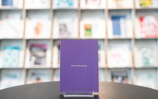 Brent Birnbaum, 2013