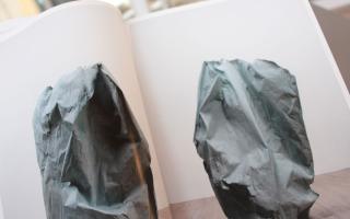 Pascal Grandmaison, Half of the Darkness, 2011