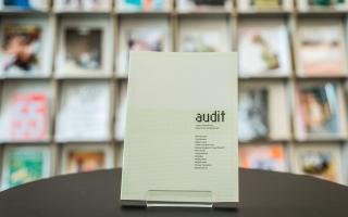 Audit, 2001