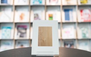 Beatrice Balcou, Walk in Beauty, 2014