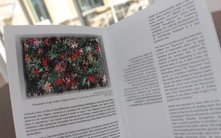 Elodie Huet, Restore Hope, 2011