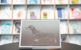 Loïc Raguénès, 2005