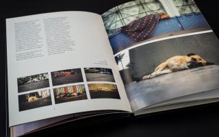 Raconte-moi / Tell Me, 2006