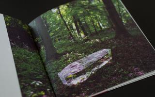 Something about Love, 2003