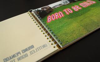 Sous les ponts, le long de la rivière II guide, 2005