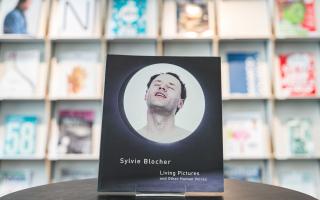 Sylvie Blocher, Living Pictures, 2002