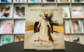The Hess Collection: New Works, 1998