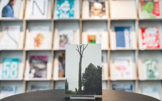 Wannes Goetschalckx, Toothpick, 2012