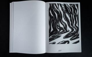 Woven in Vegetal Fabric: On Plant Becomings, 2022