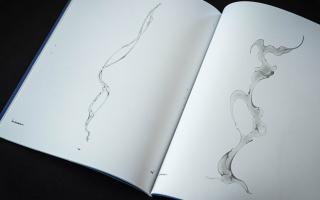 Océane Muller – Rivage Confondu