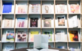 ludovic hadjeras, sleeping swift, slipping – falls